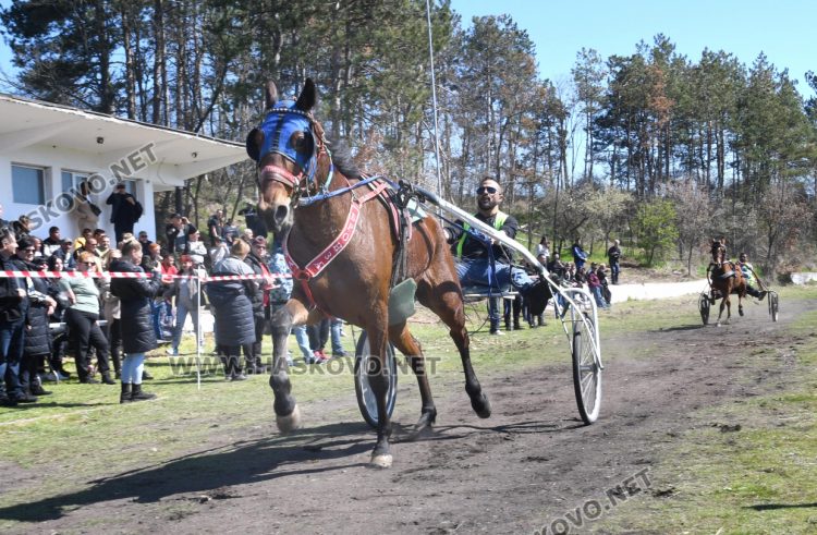 Конска кушия за Тодоровден се проведе в село Бисер