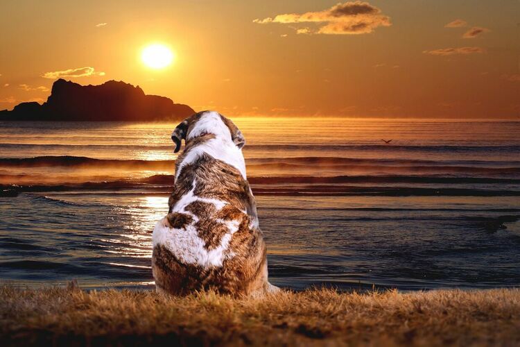 Слънце, облаци и умерен вятър във вторник, вечерта - дъжд