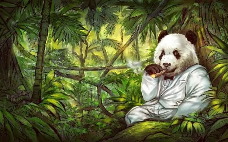 Мафията оплита децата в мрежите си от ранните им години