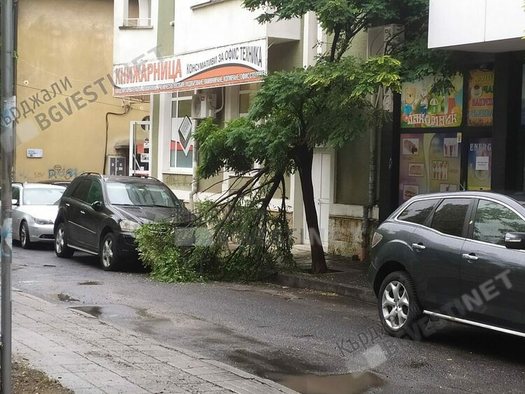 Жълт код за силен вятър в областта,в Кърджали скоростта му ще бъде 8 м/с