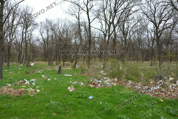 Хасковлия: Сметище се образува в гора, отсичат и дърветата