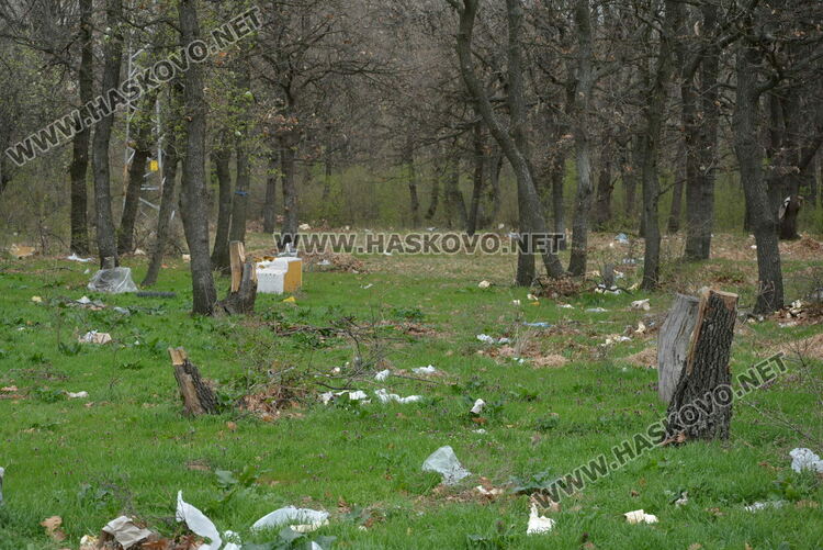 Хасковлия: Сметище се образува в гора, отсичат и дърветата