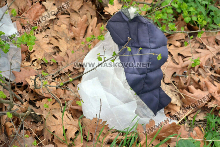 Хасковлия: Сметище се образува в гора, отсичат и дърветата