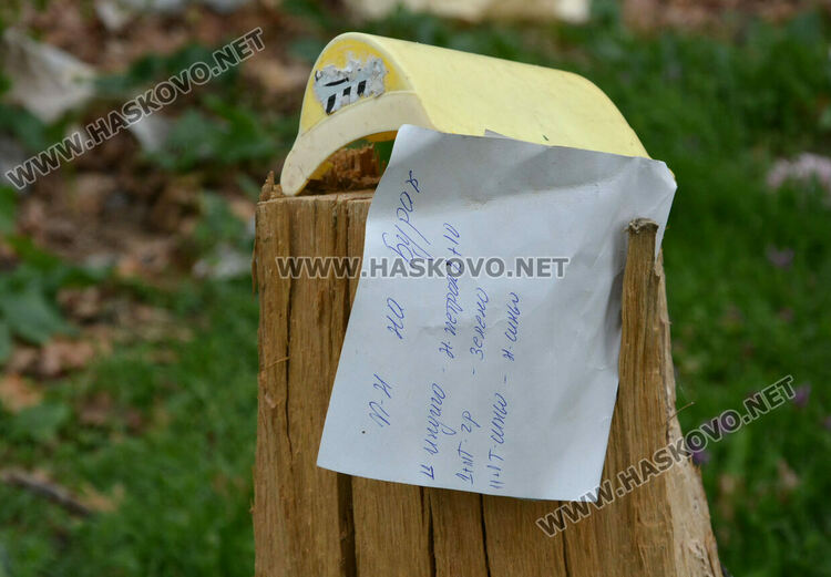 Хасковлия: Сметище се образува в гора, отсичат и дърветата