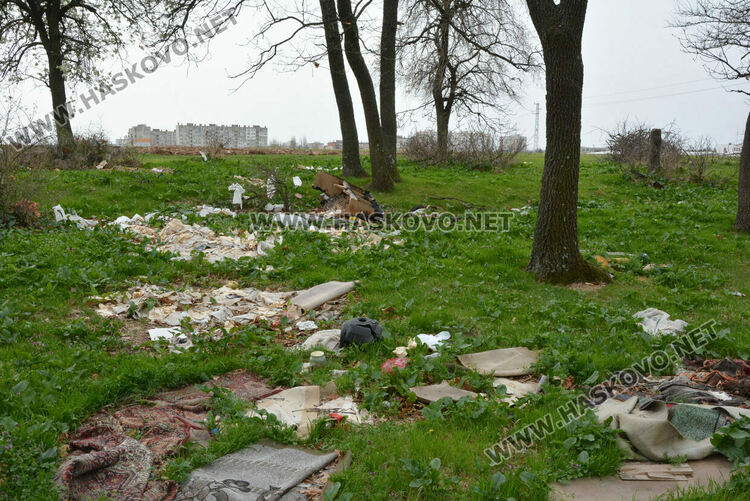 Хасковлия: Сметище се образува в гора, отсичат и дърветата