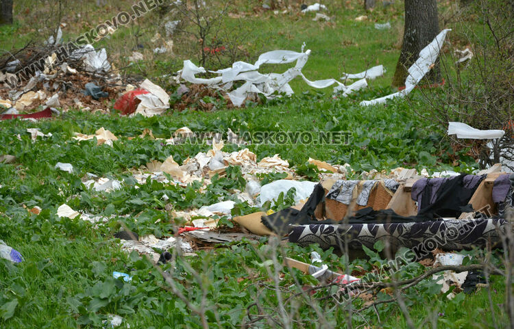 Хасковлия: Сметище се образува в гора, отсичат и дърветата