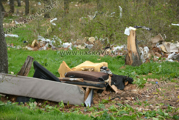 Хасковлия: Сметище се образува в гора, отсичат и дърветата