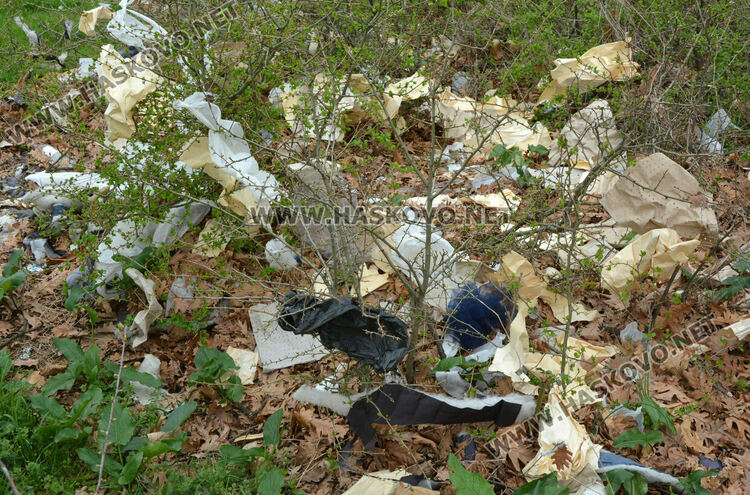 Хасковлия: Сметище се образува в гора, отсичат и дърветата