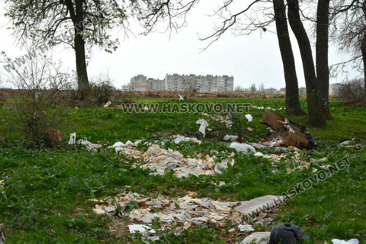 Хасковлия: Сметище се образува в гора, отсичат и дърветата