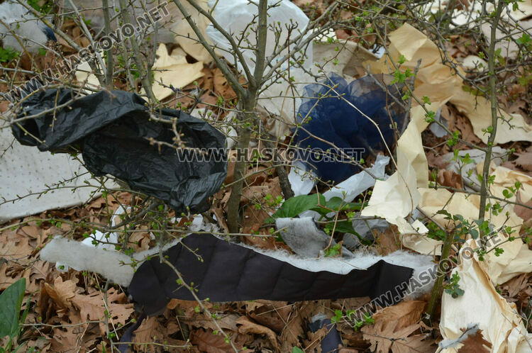 Хасковлия: Сметище се образува в гора, отсичат и дърветата