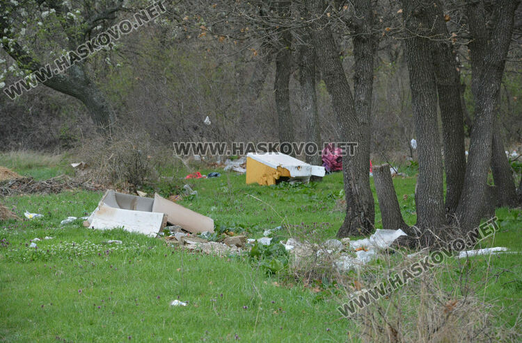 Хасковлия: Сметище се образува в гора, отсичат и дърветата