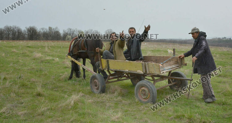 Преминаващи наоколо разказаха, че теренът е бил чистен в сряда