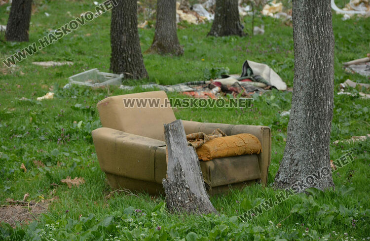 Хасковлия: Сметище се образува в гора, отсичат и дърветата