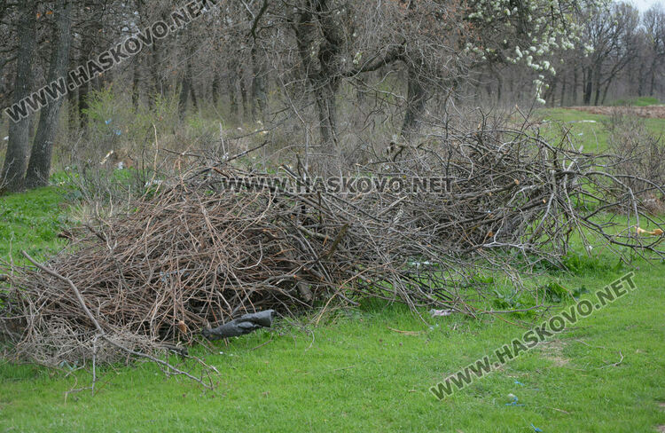 Хасковлия: Сметище се образува в гора, отсичат и дърветата