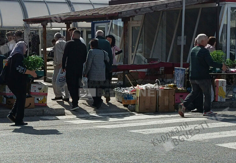 Опашки за разсад за домати на Пазара в Кърджали, търговците не смогват да зареждат със стока