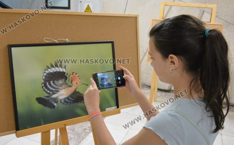 Фотоси на пернатия свят от региона на Хасково украсиха фоайето на Областна администрация