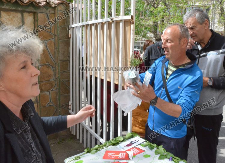 690 фиданки бяха раздадени безплатно в Седмицата на гората