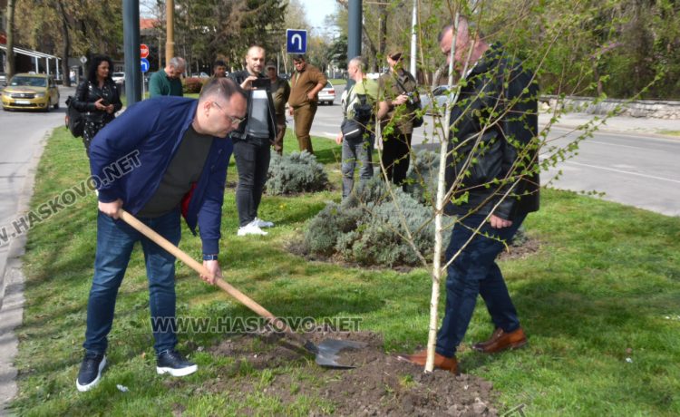 690 фиданки бяха раздадени безплатно в Седмицата на гората
