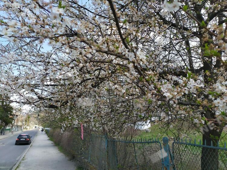 В Деня на шегата термометрите в Кърджали показаха 28,2 градуса