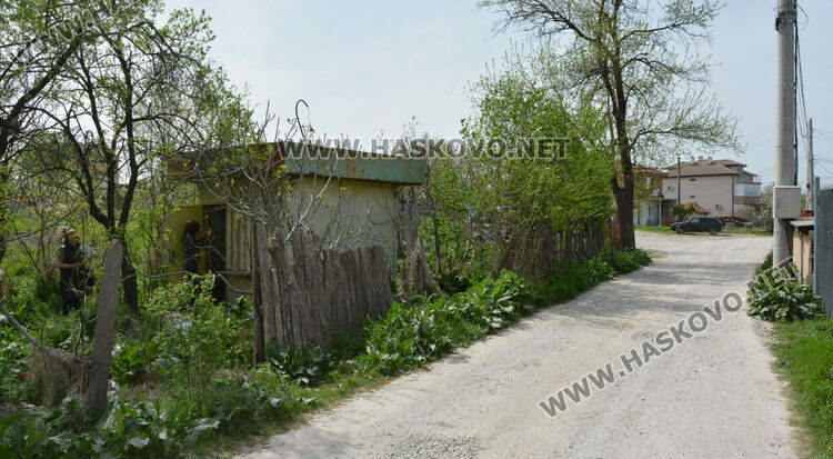 Хасковлийка: Отровиха майка на 6 малки кученца