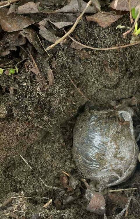 Арестуваха трима мъже за разпространение на високорискови наркотични вещества в Пловдив 