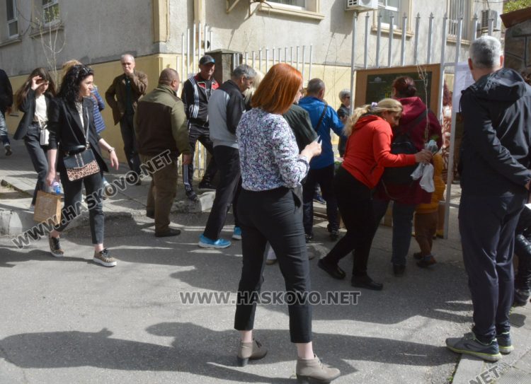 690 фиданки бяха раздадени безплатно в Седмицата на гората