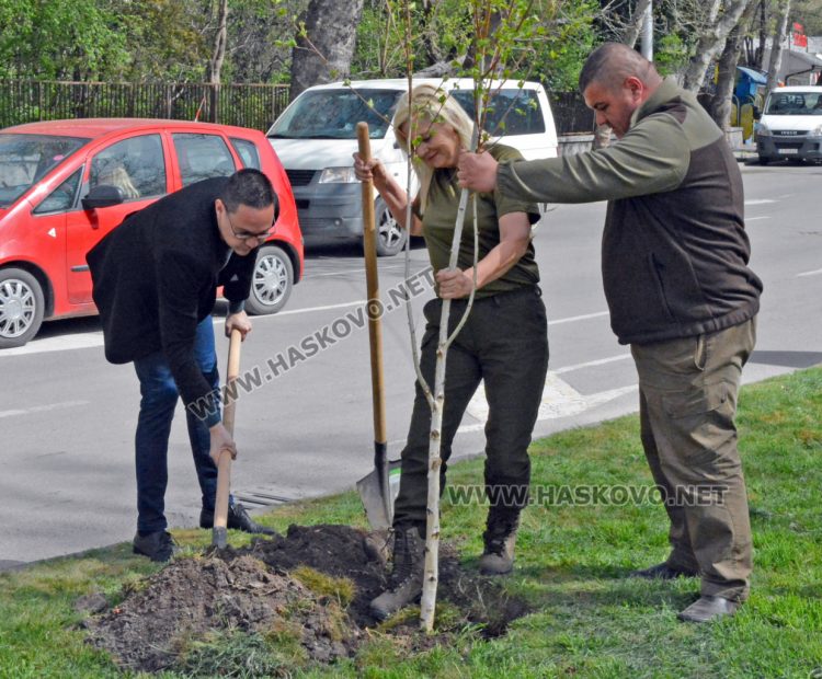 690 фиданки бяха раздадени безплатно в Седмицата на гората