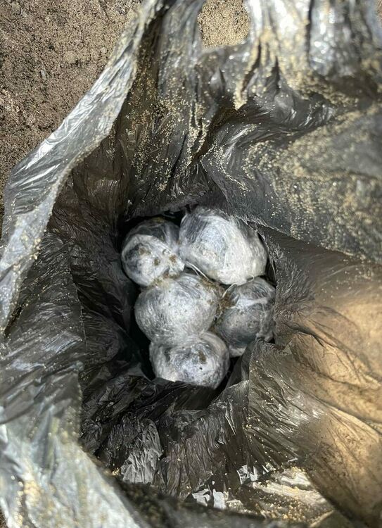 Арестуваха трима мъже за разпространение на високорискови наркотични вещества в Пловдив 