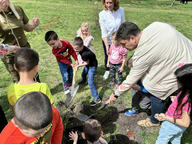 В Димитровград бе отбелязана Седмицата на гората