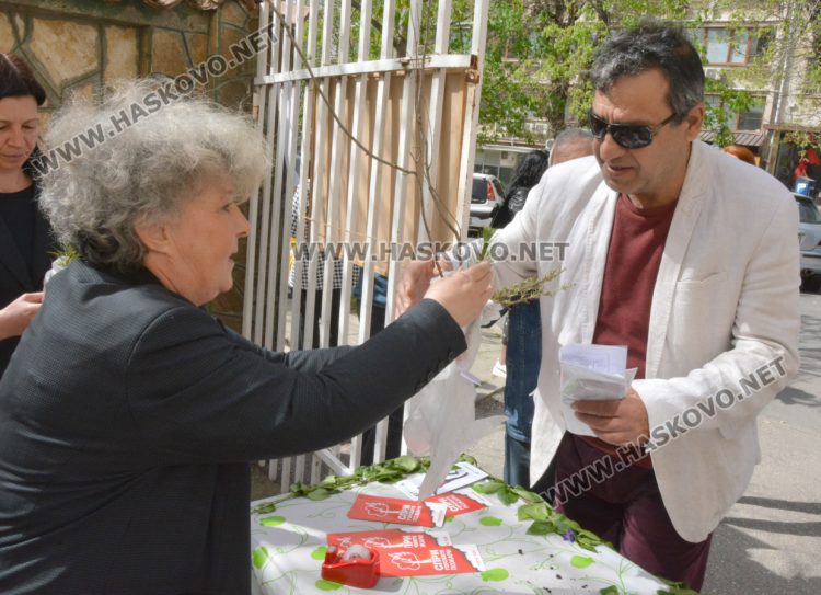 690 фиданки бяха раздадени безплатно в Седмицата на гората