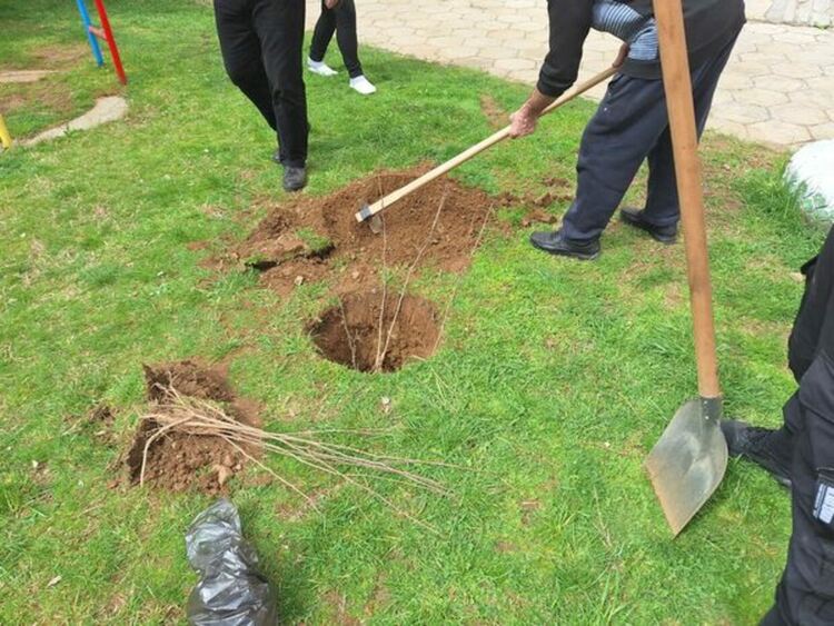 Децата от ЦНСТДБУ 1 и 2 с.Дрен по повод Седмица на гората засадиха медоносни дръвчета
