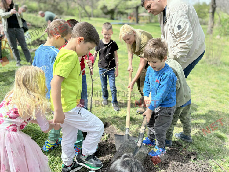 В Димитровград бе отбелязана Седмицата на гората