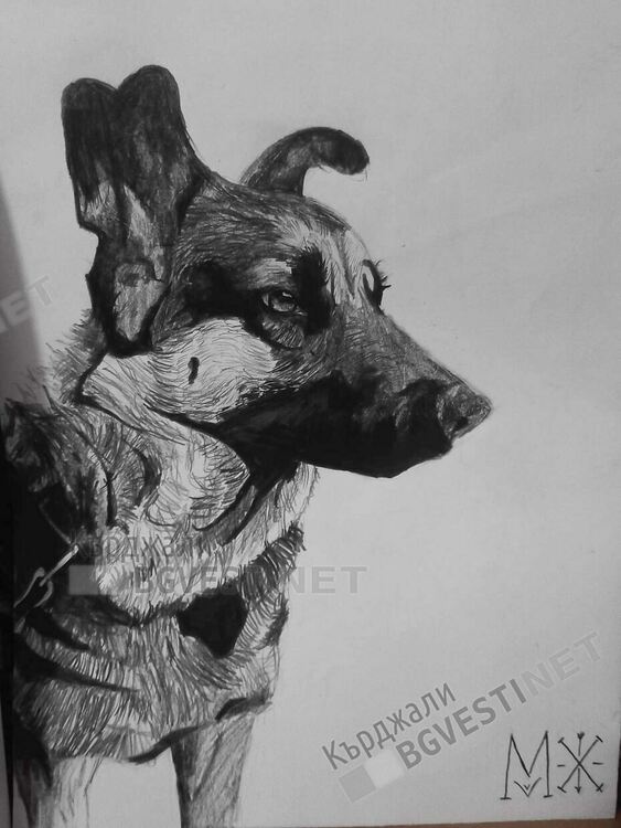 Талантливата Мелда Халил вдъхва живот на хеви метъл герои в своите картини,вдъхновява се от тежката музика