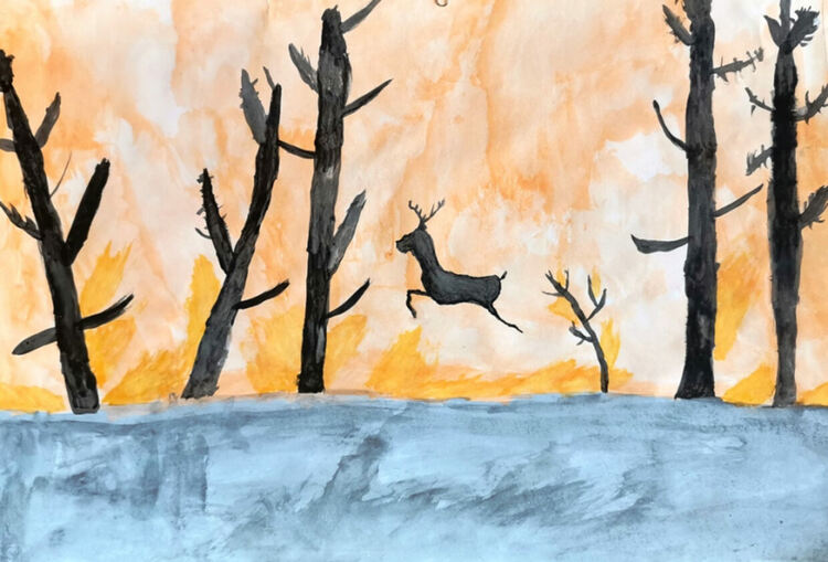 Определени са рисунките, които ще представят общината на областния кръг на конкурса "С очите си видях бедата"