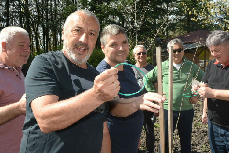 Обновената ротарианска горичка радва минувачите в парк „Кенана“