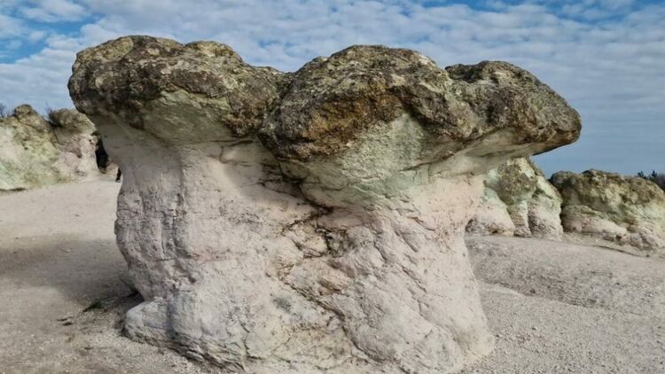 Каква легенда крият Каменните гъби край Бели пласт?