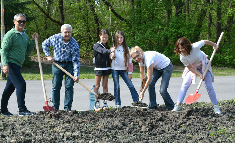 Обновената ротарианска горичка радва минувачите в парк „Кенана“
