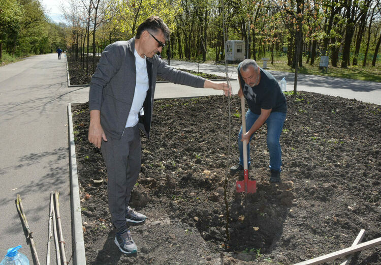 Обновената ротарианска горичка радва минувачите в парк „Кенана“