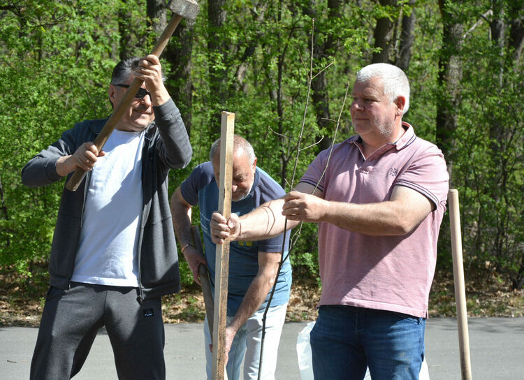 Обновената ротарианска горичка радва минувачите в парк „Кенана“