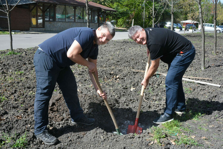 Обновената ротарианска горичка радва минувачите в парк „Кенана“