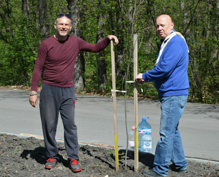 Обновената ротарианска горичка радва минувачите в парк „Кенана“
