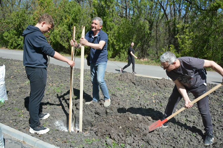 Обновената ротарианска горичка радва минувачите в парк „Кенана“
