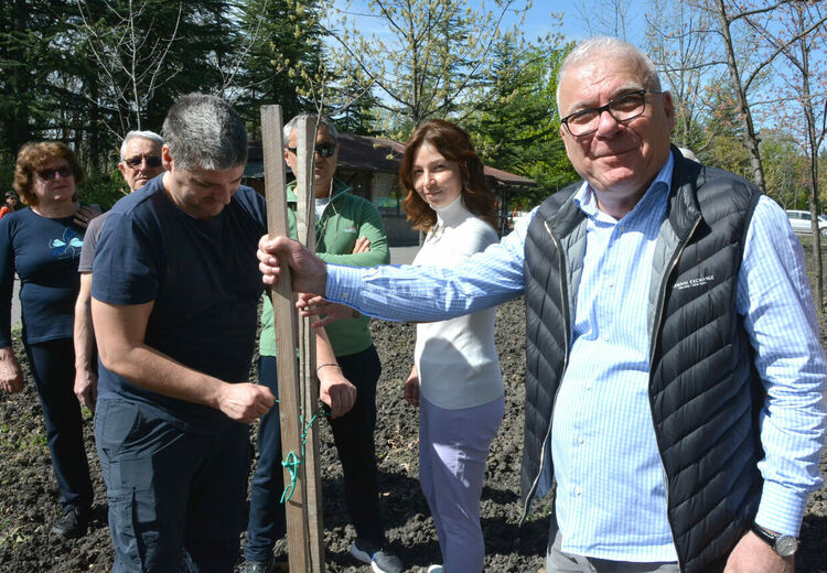 Обновената ротарианска горичка радва минувачите в парк „Кенана“
