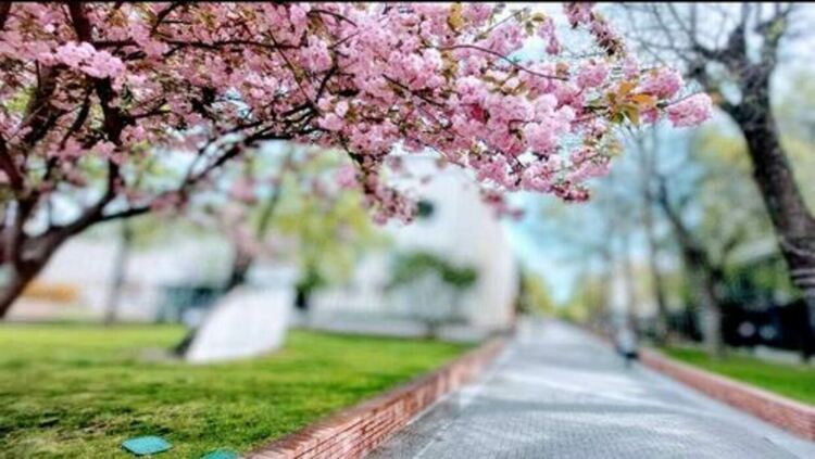 Снимка: Николина Руменова