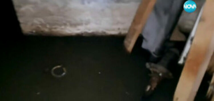  Плъхове и непоносима миризма: Мазета в блок в Перник се пълнят с фекални води