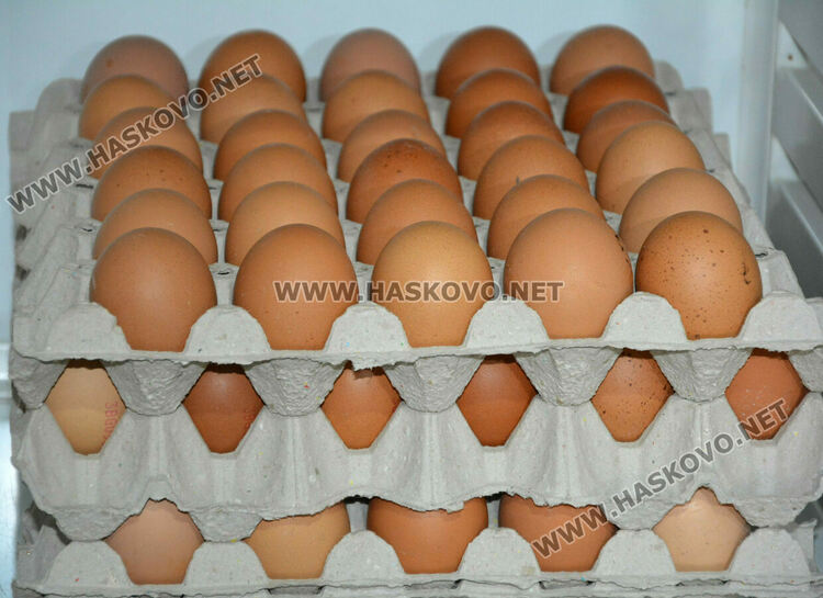 Агенцията по храните започва проверки за предстоящите празници. Търговците чакат драстично по-евтини яйца