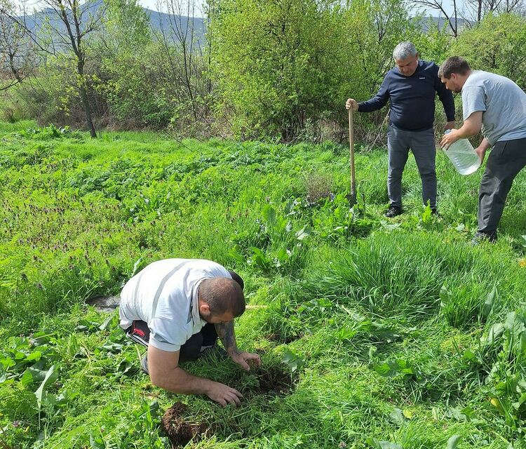 Драгойновци започнаха да облагородяват селото си