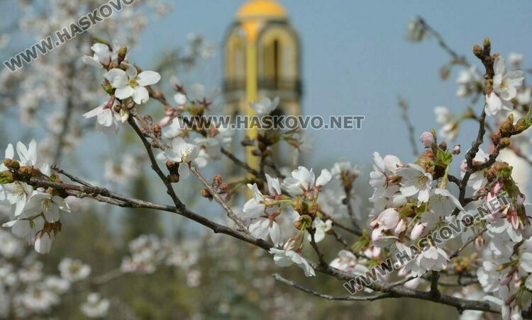 Слънчево и с температура до 25 градуса в сряда