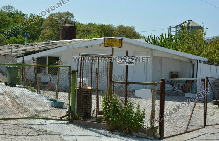 Изтеглят от пазара яйцата от кокошките, заразени с птичи грип край Хасково