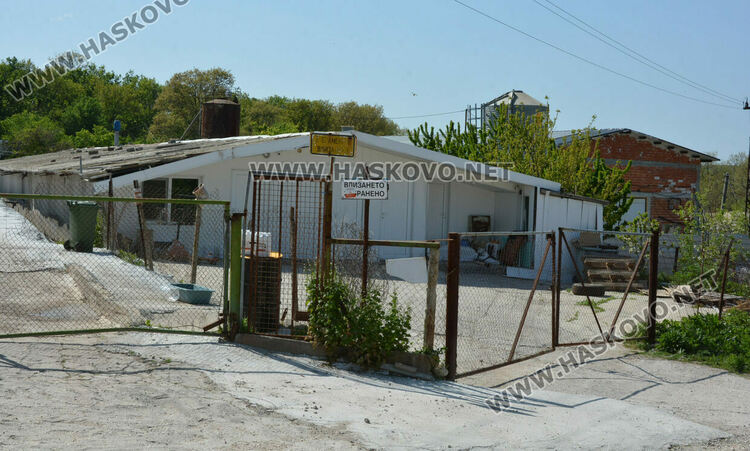 Изтеглят от пазара яйцата от кокошките, заразени с птичи грип край Хасково